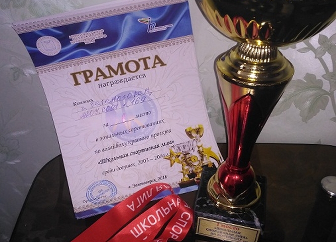 Победители соревнований по волейболу "ШСЛ"